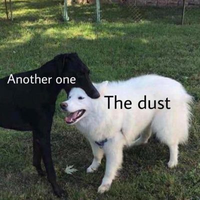 Perro-blanco-perro-negro-morder-another-one-bites-the-dust